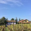 Cascina la Maddalena Bed & Wine - immagine 4