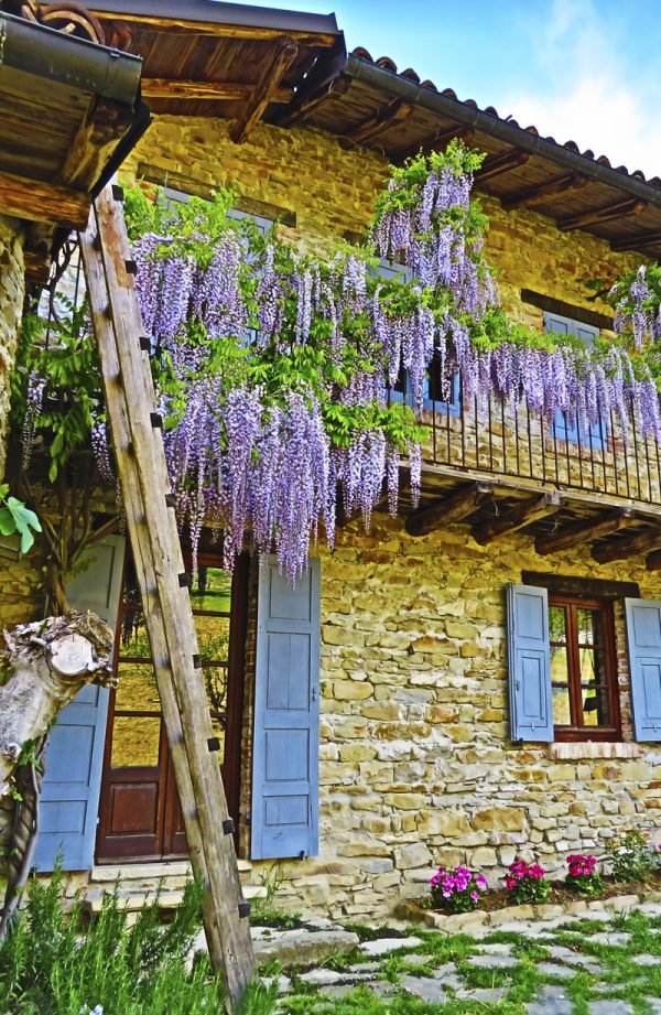 Casa Vacanza Cascina Burroni