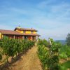 Cantine Alma - immagine 4