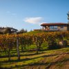 Azienda Vitivinicola Fratelli Facchino