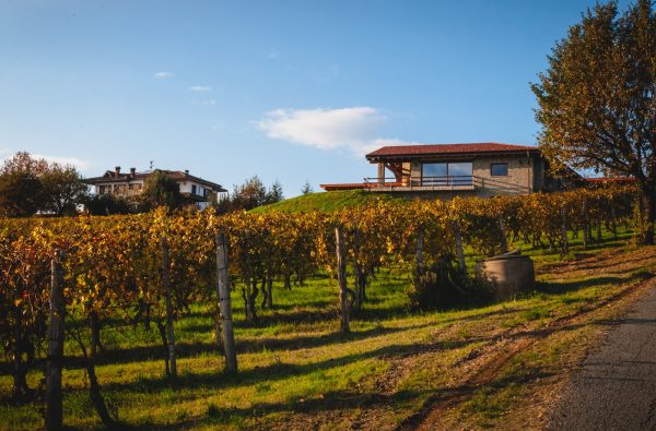 Azienda Vitivinicola Fratelli Facchino