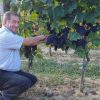 Azienda Vitivinicola Fratelli Facchino - immagine 8