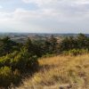Big Bench Mornese - immagine 2