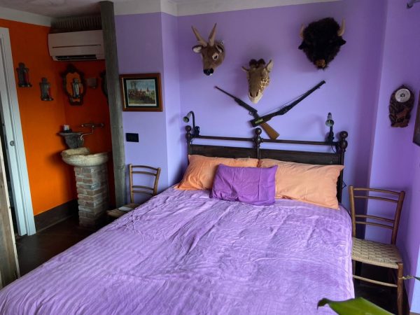 Borgo Tassani - immagine 8